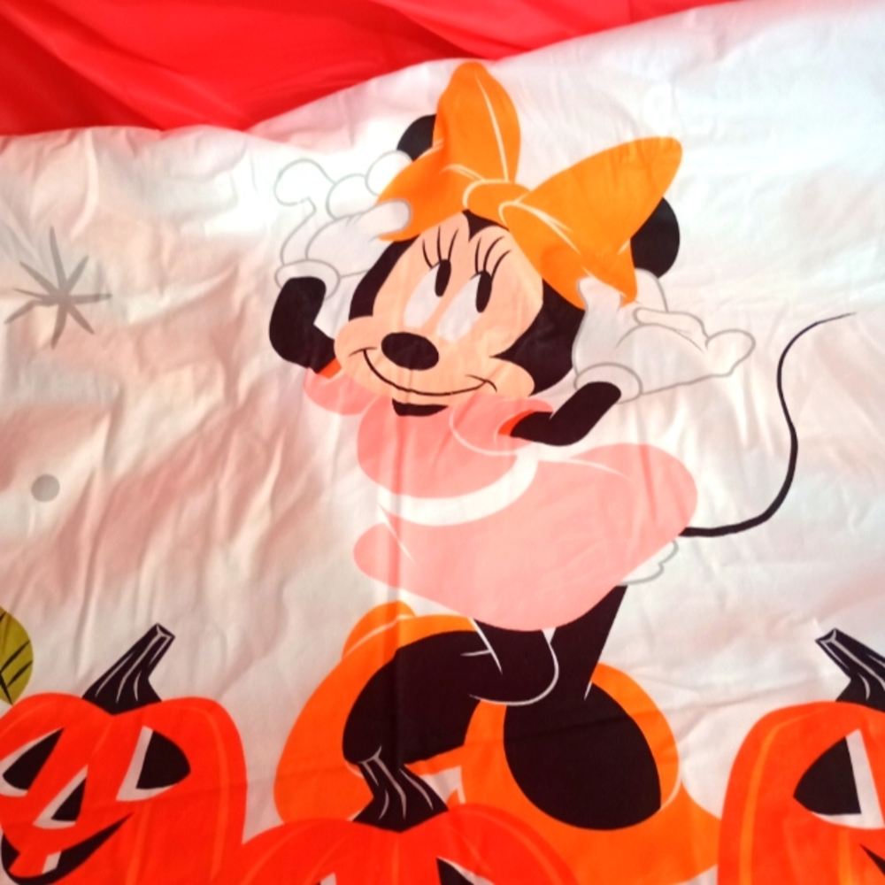 Minnie Mouse blanket